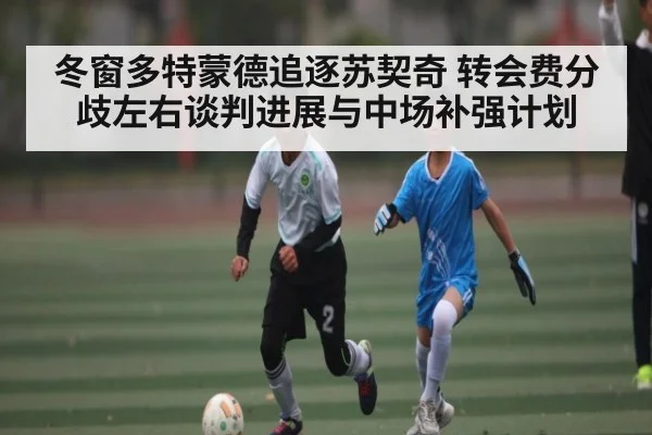 冬窗多特蒙德追逐苏契奇 转会费分歧左右谈判进展与中场补强计划 | KaiyunAPP